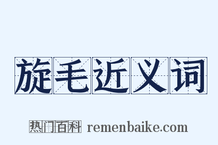 旋毛近义词是什么意思的图片